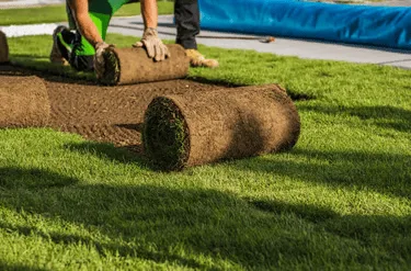 Professional sod installation with rolled turf